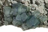 Blue-Green Cuboctahedral Fluorite on Smoky Quartz - China #160700-1